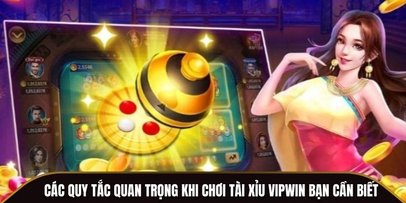 Các quy tắc quan trọng khi chơi Tài Xỉu Vipwin bạn cần biết