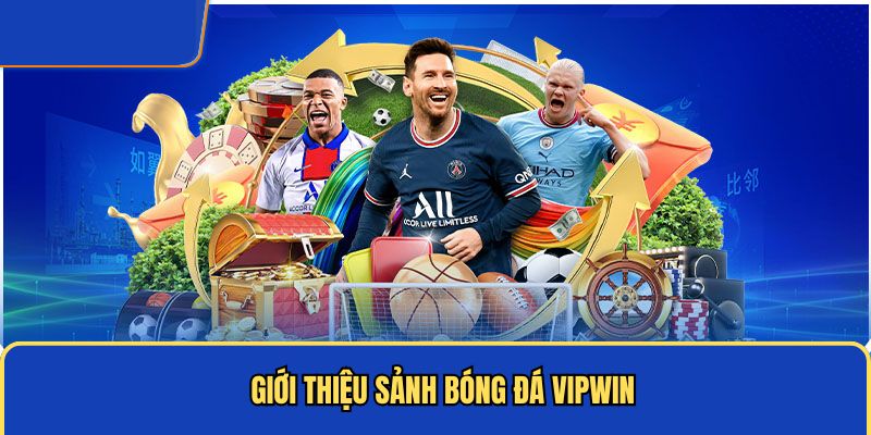 Giới thiệu sảnh bóng đá Vipwin