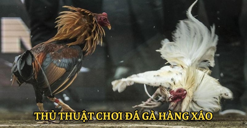 Thủ thuật khi tham gia