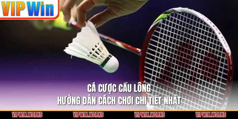 Cá Cược Cầu Lông - Hướng Dẫn Cách Chơi Chi Tiết Nhất