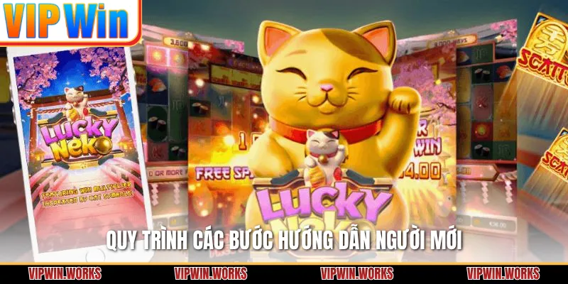 Quy trình các bước hướng dẫn người mới