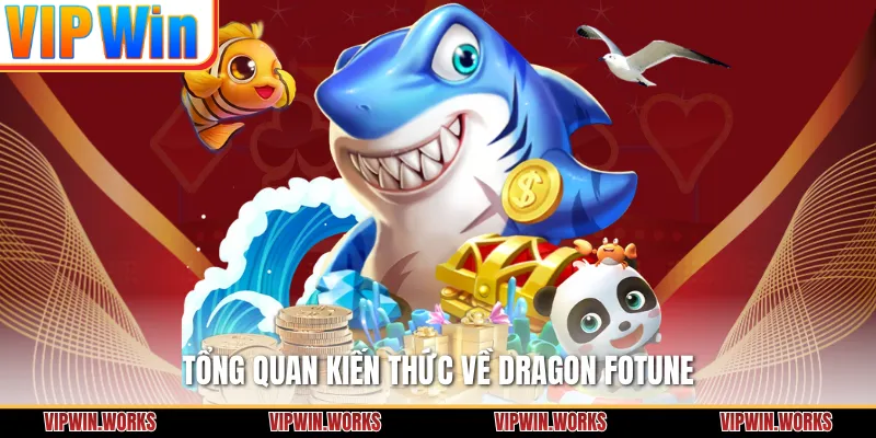 Tổng quan kiến thức về Dragon Fotune