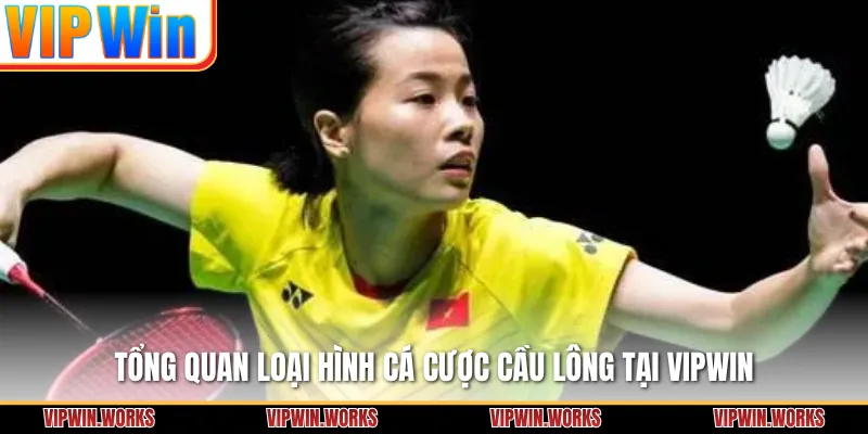 Tổng quan loại hình cá cược cầu lông tại VIPWIN
